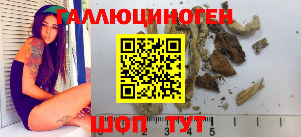 Грозный  Галлюциногенные грибы Psilocybe  Галлюциногенные грибы прущие грибы  Вход с VPN 