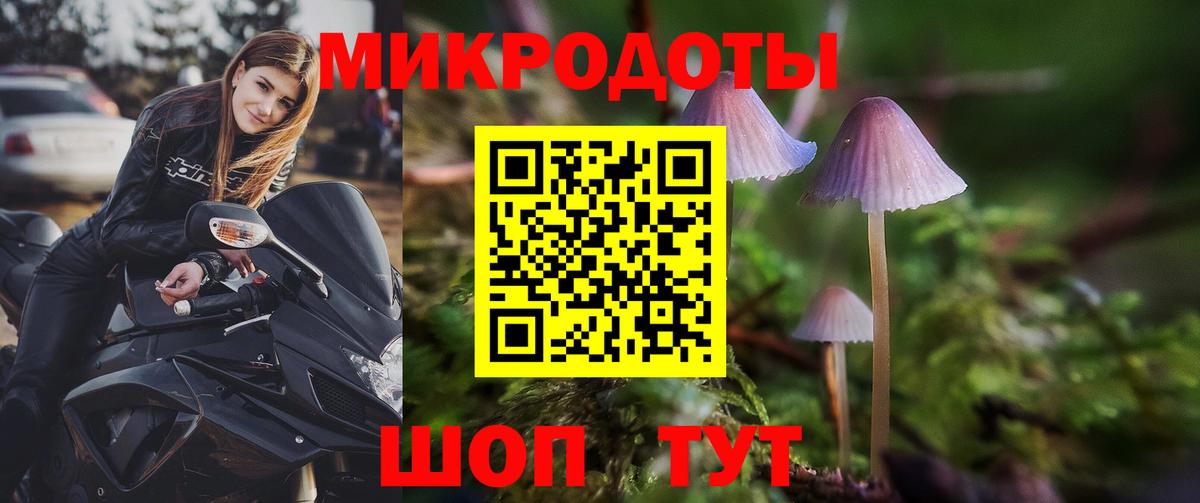 Галлюциногенные грибы Magic Shrooms Грозный